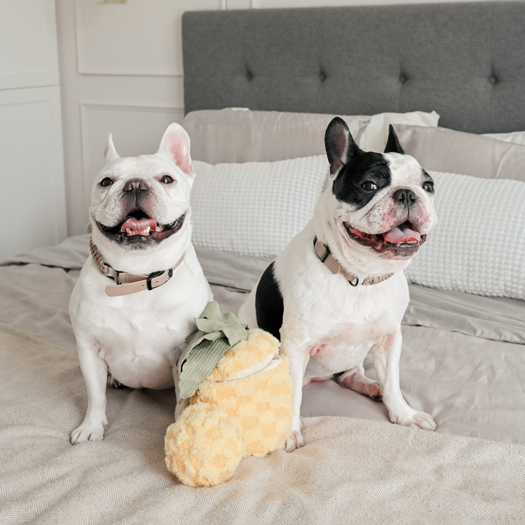 MY PINEAPPLE POP