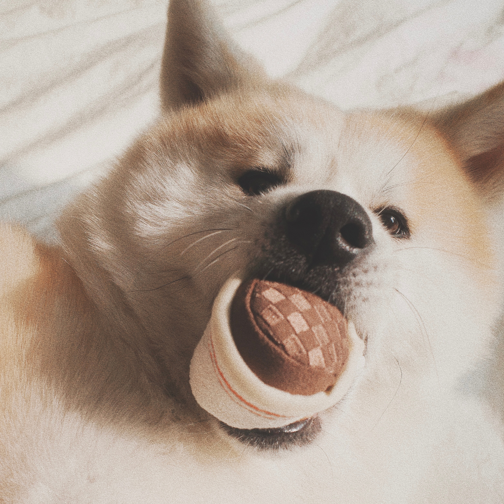ESPRESSO POP