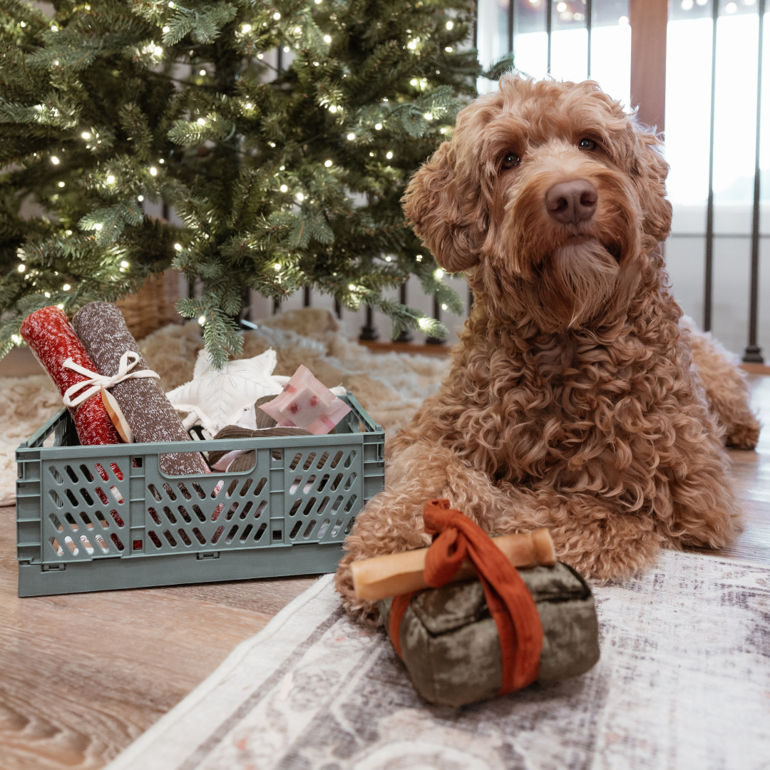 HOLIDAY BOX
