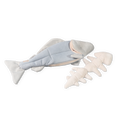 TROUT