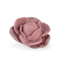 Cabbage POP
