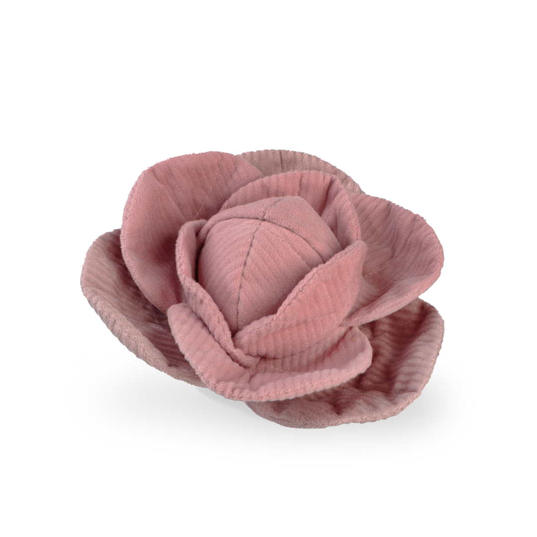 Cabbage POP