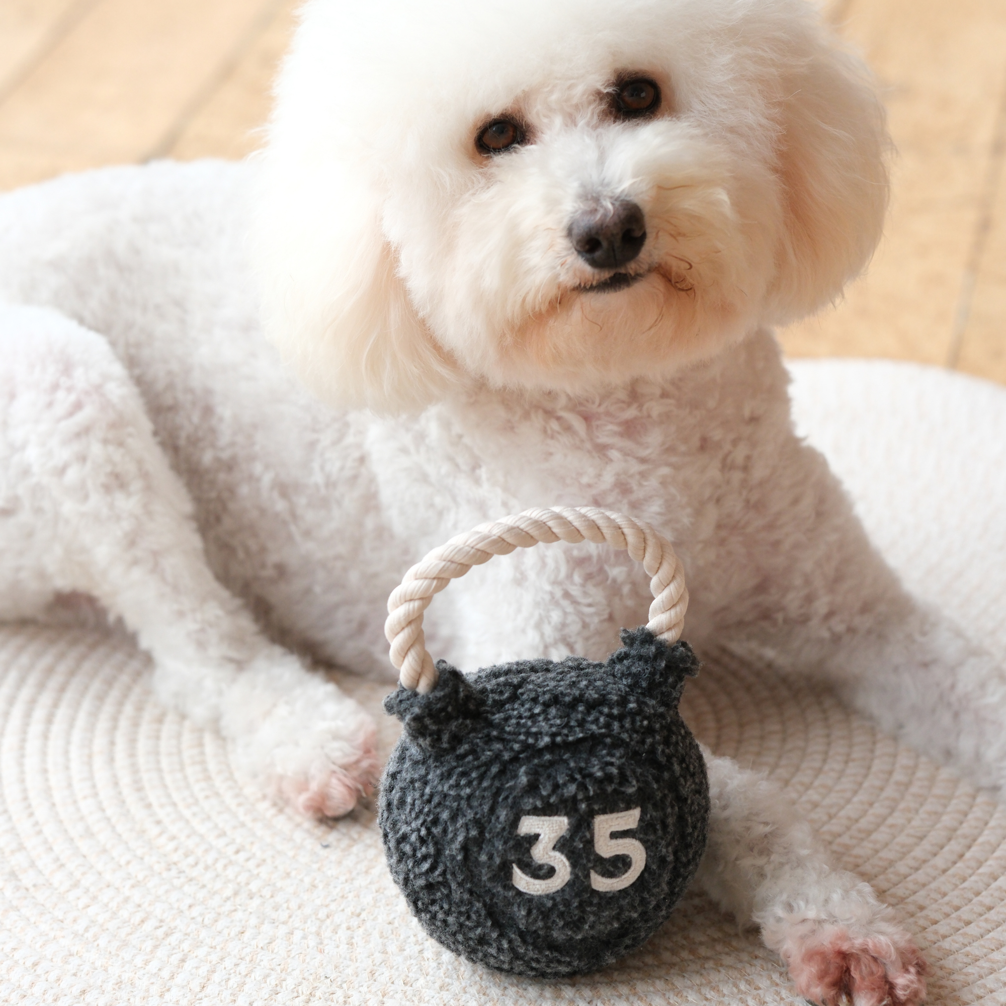 KETTLEBELL