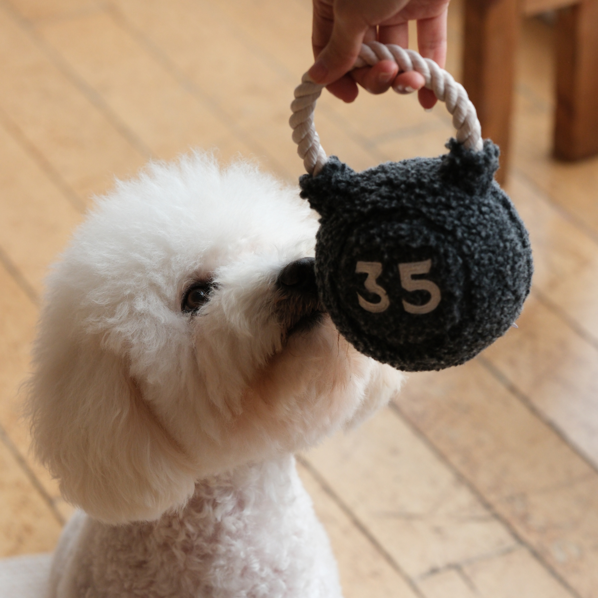 KETTLEBELL