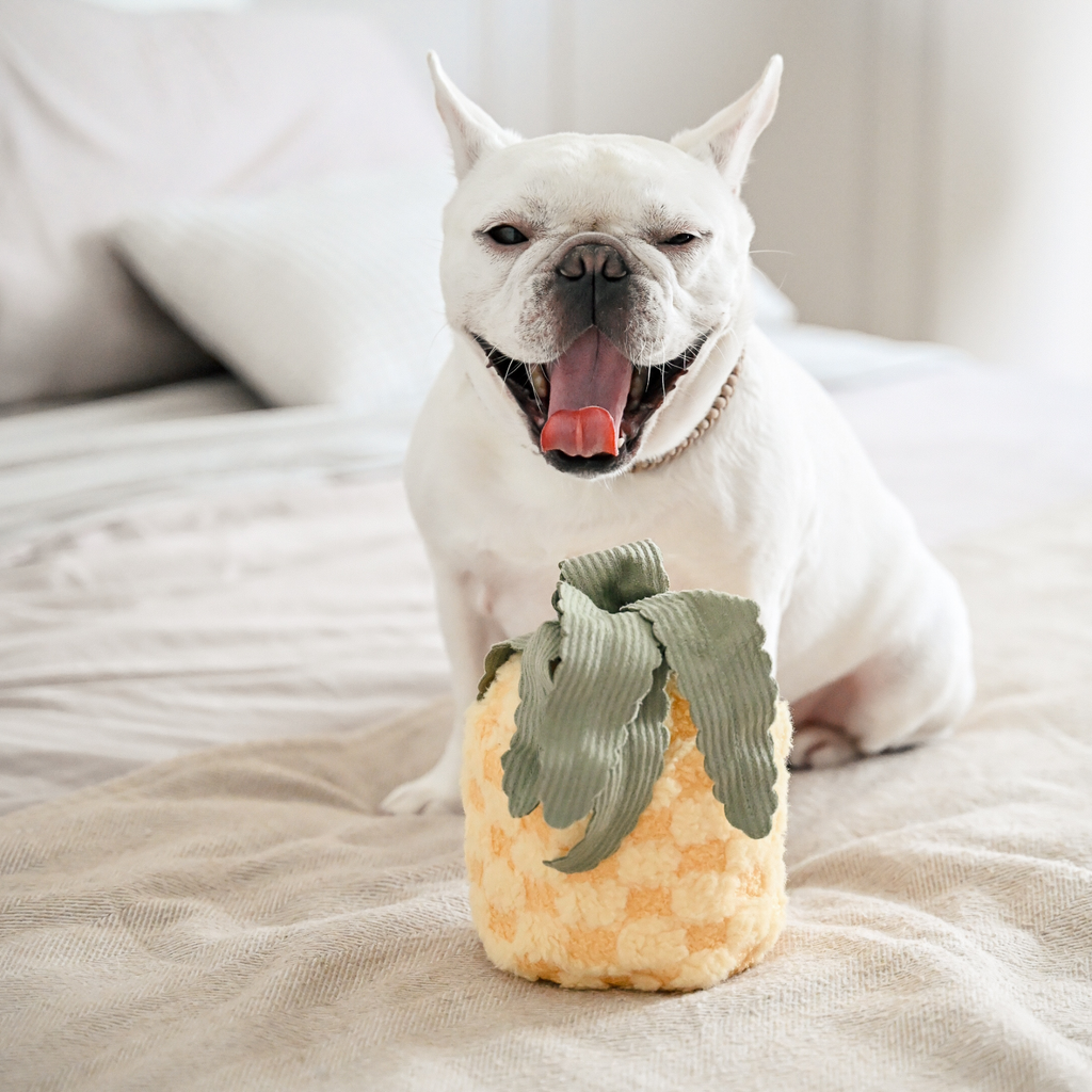 MY PINEAPPLE POP
