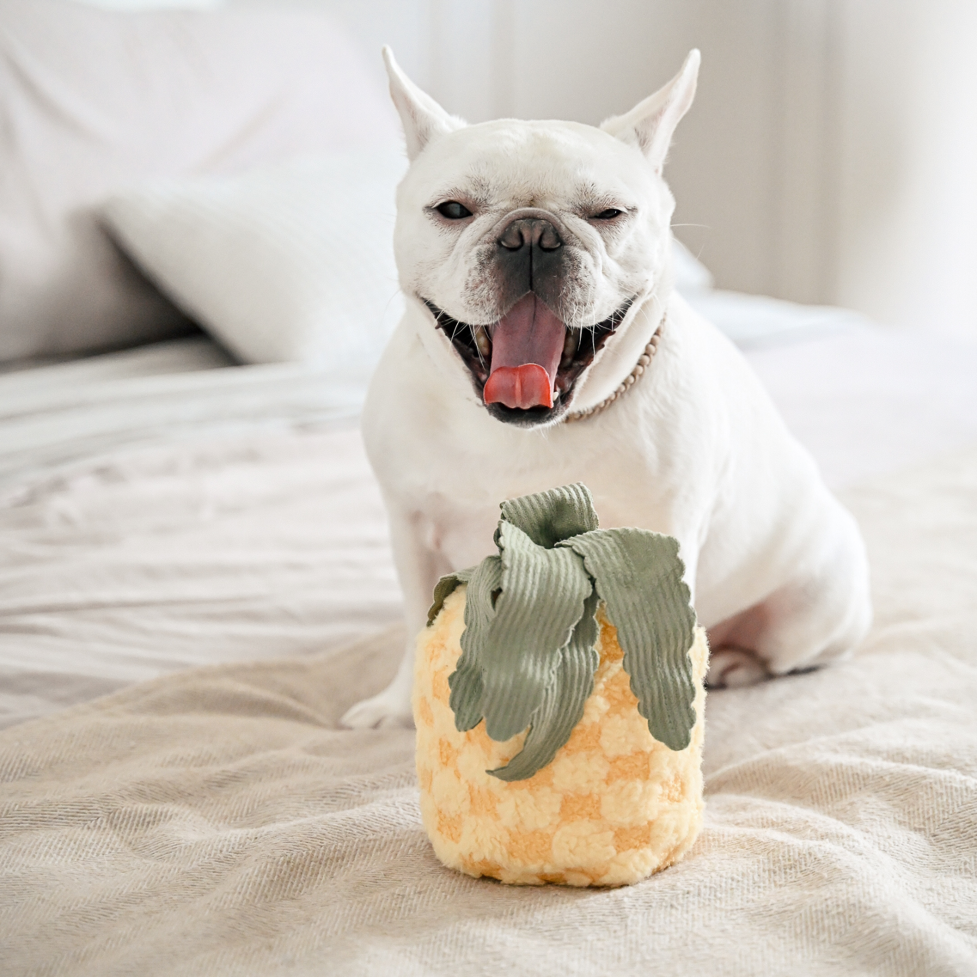 MY PINEAPPLE POP