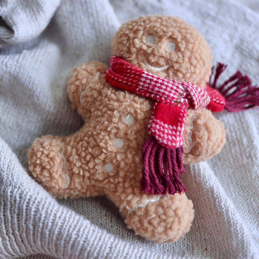 MISTER GINGERBREAD