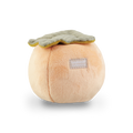 PERSIMMON