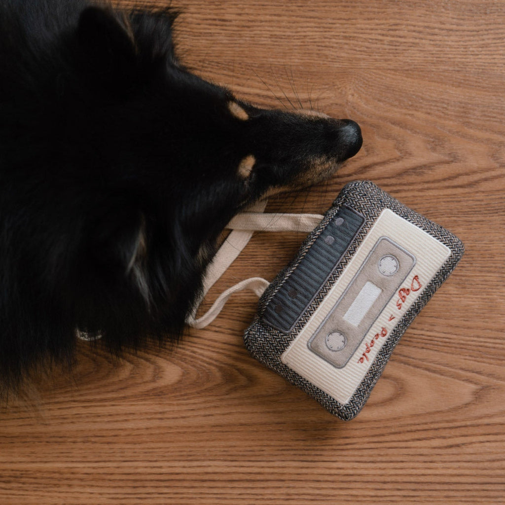 CASSETTE