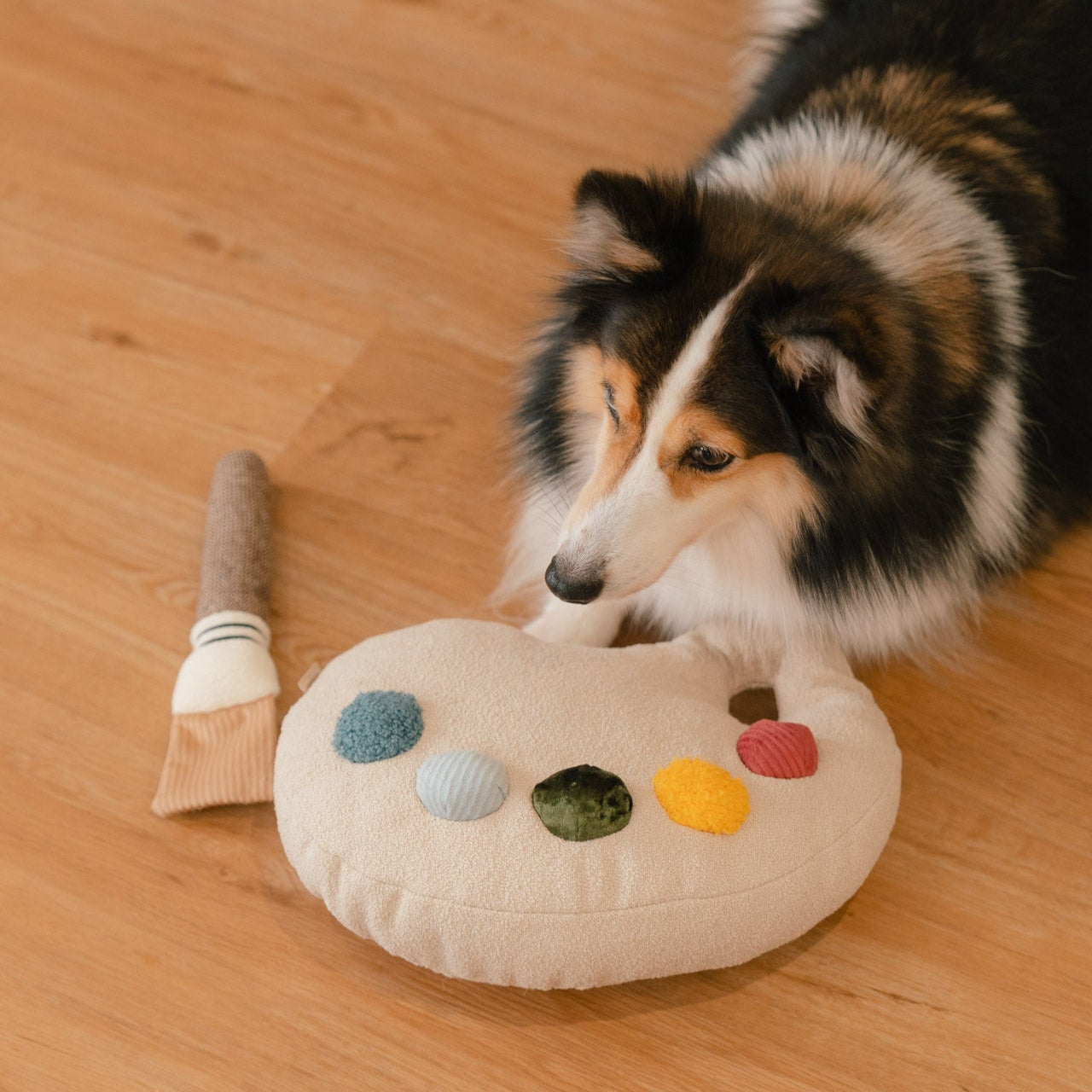 Color Palette Set