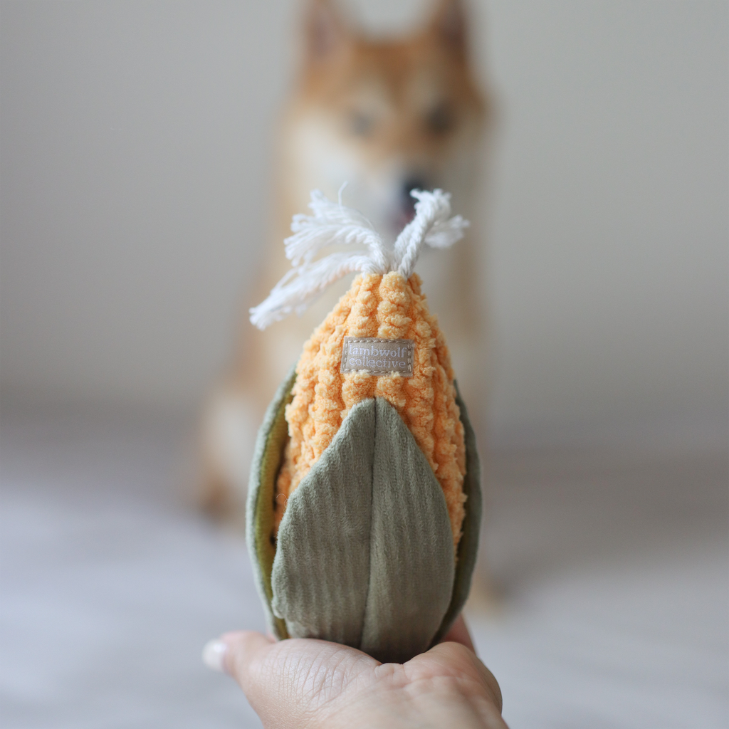 CORN + LEEK SET