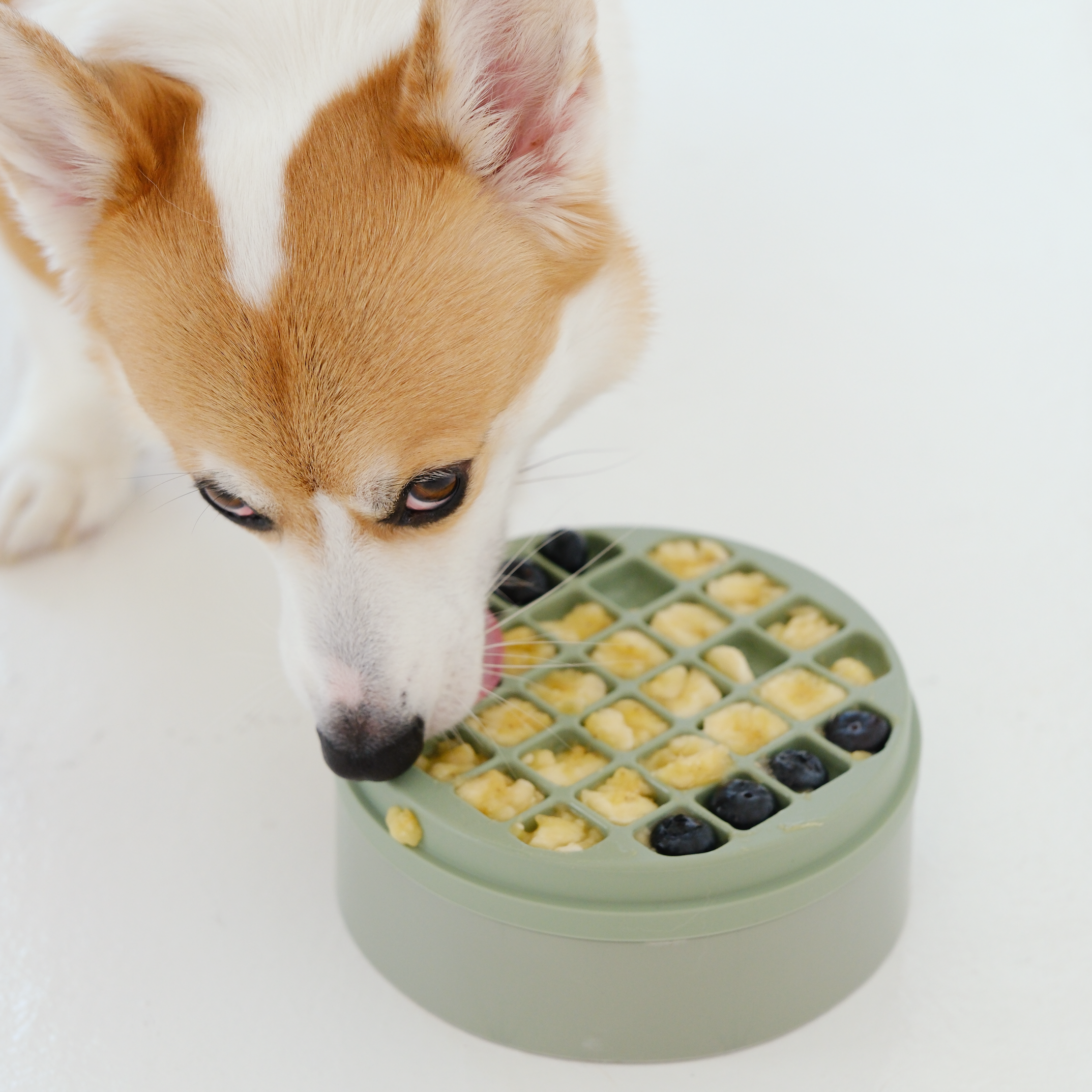 3-IN-1 BENTO
