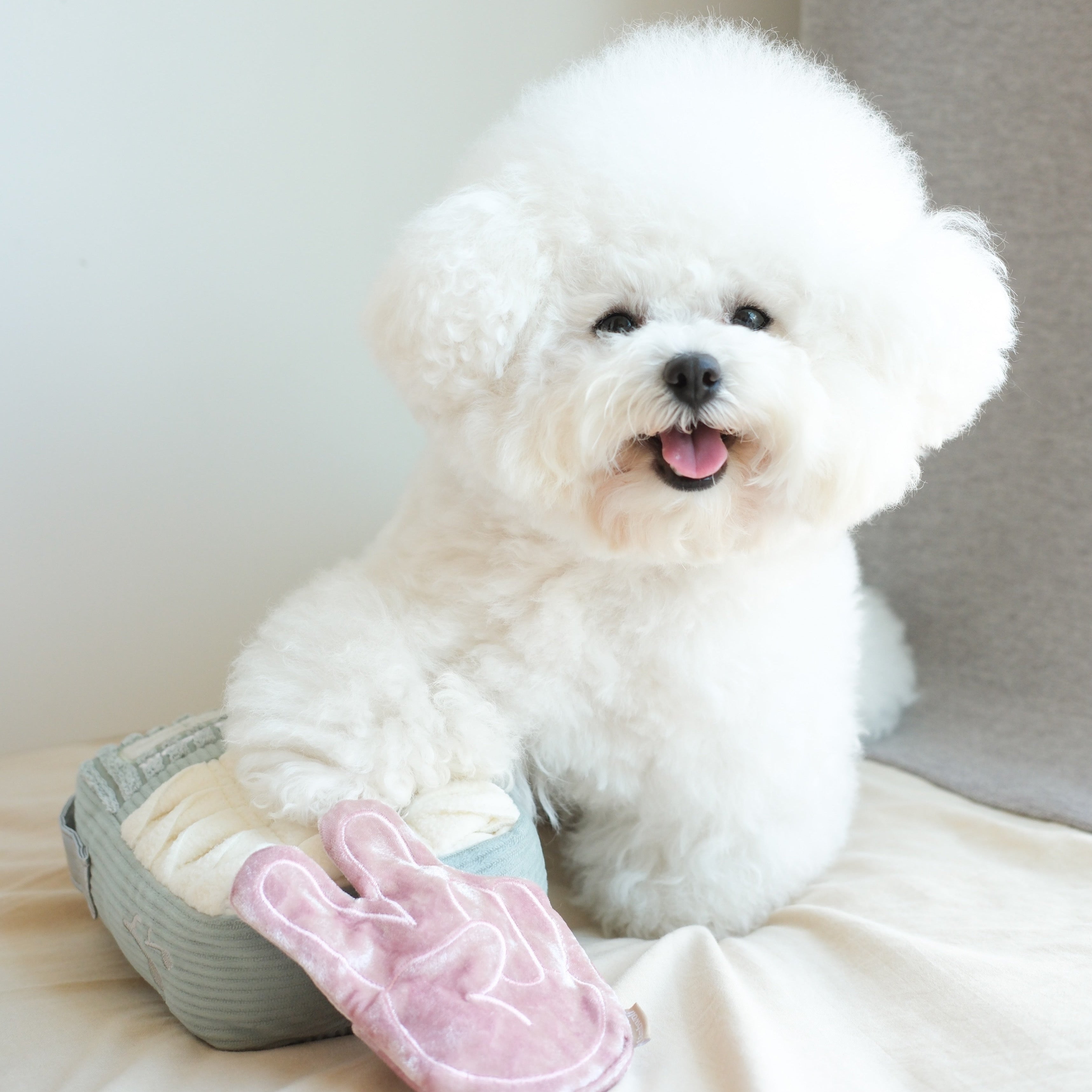 WOOF FM