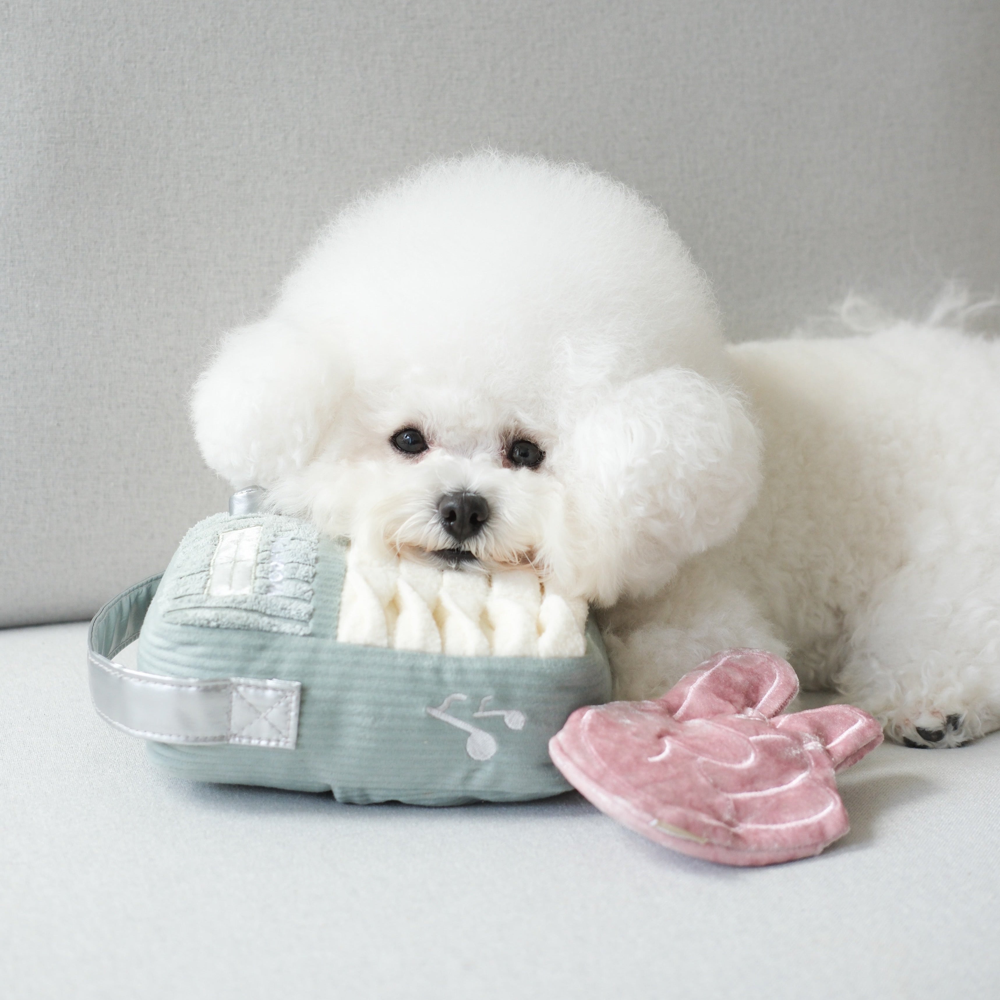 WOOF FM