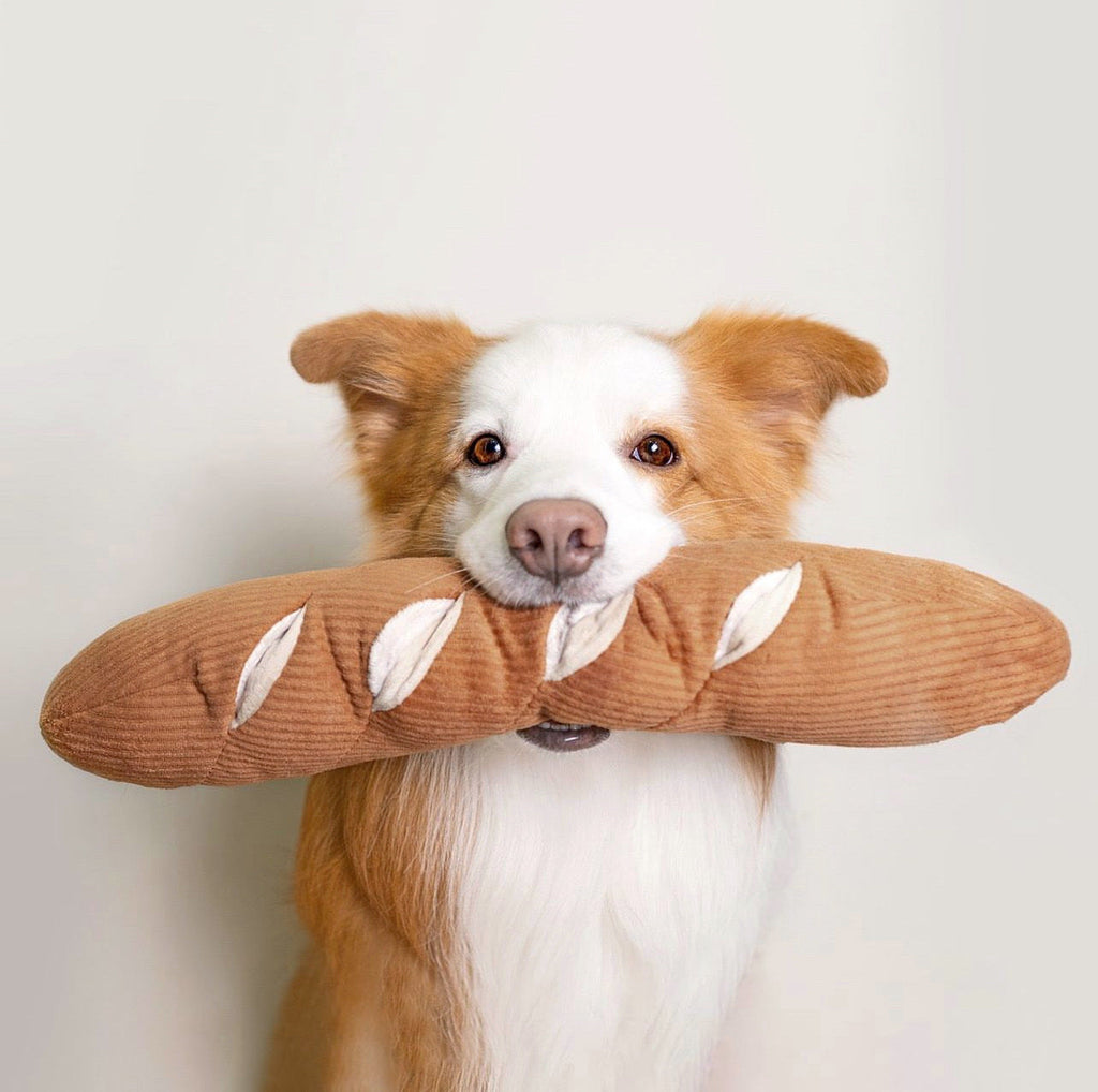 BAGUETTE