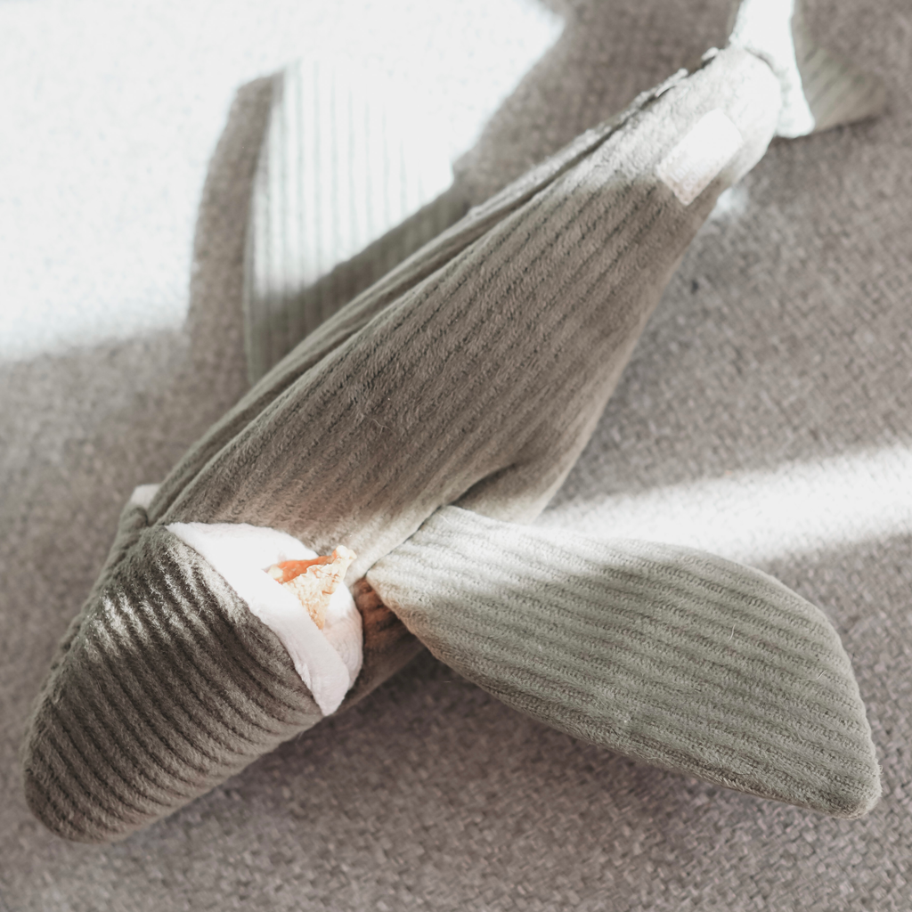 MY FLYING FISH