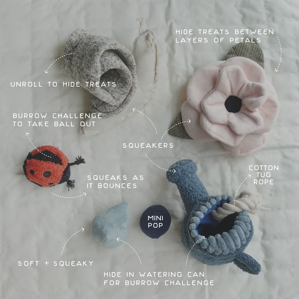 GARDEN SET
