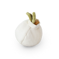 GARLIC POP