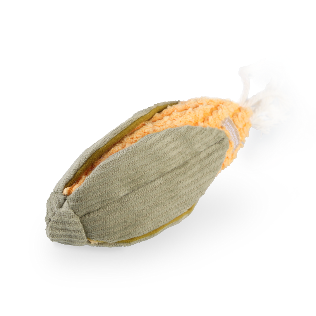 CORN
