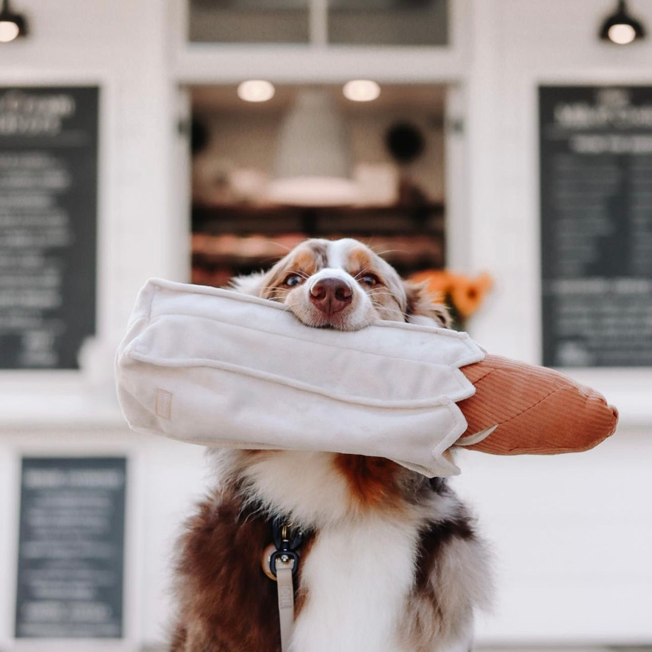 BAGUETTE