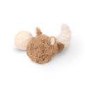 FOX POP