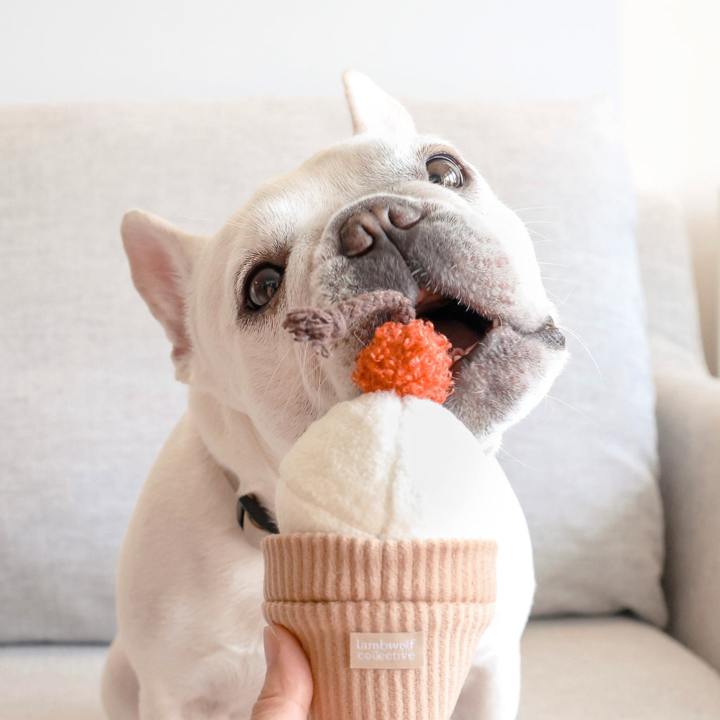 Ice Cream POP
