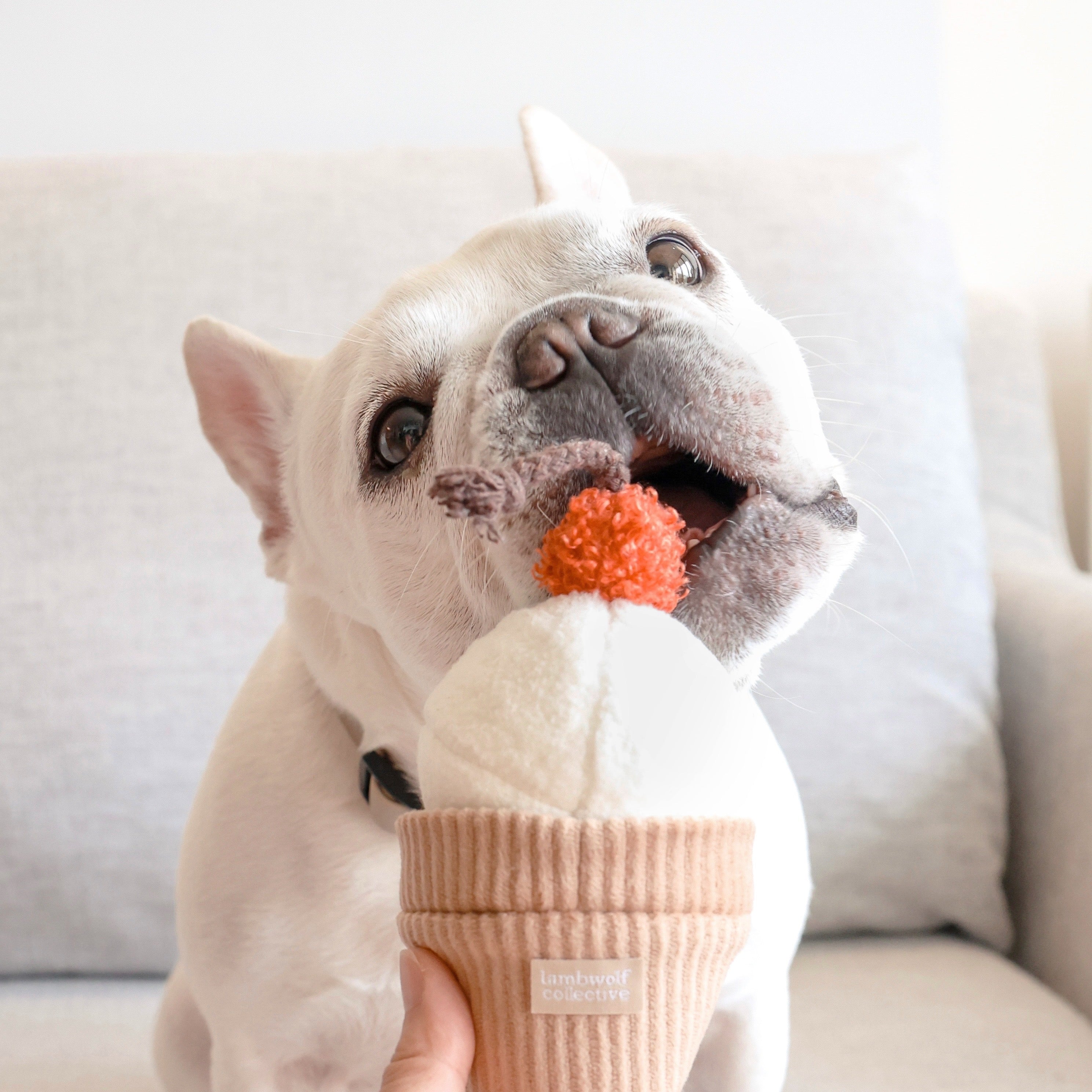 Ice Cream POP