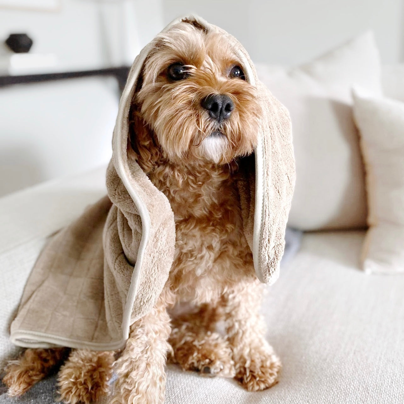 Baby Fleece Towel