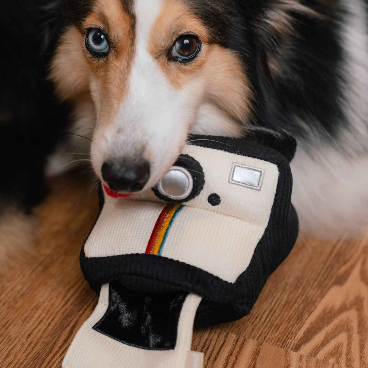 INSTANT CAMERA