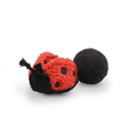 LADYBUG POP