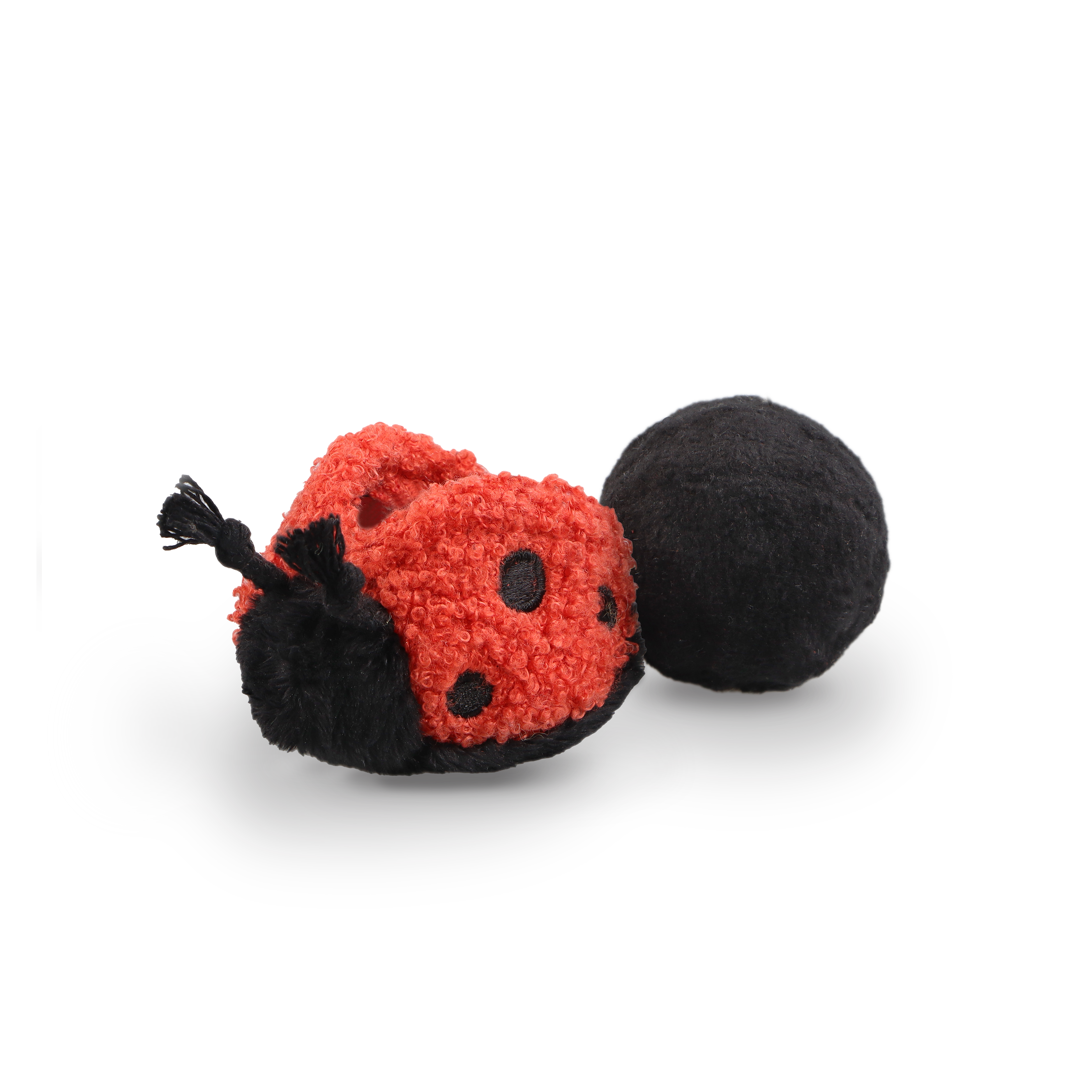 LADYBUG POP
