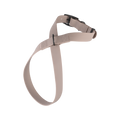 OTTO