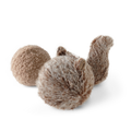 Squirrel POP