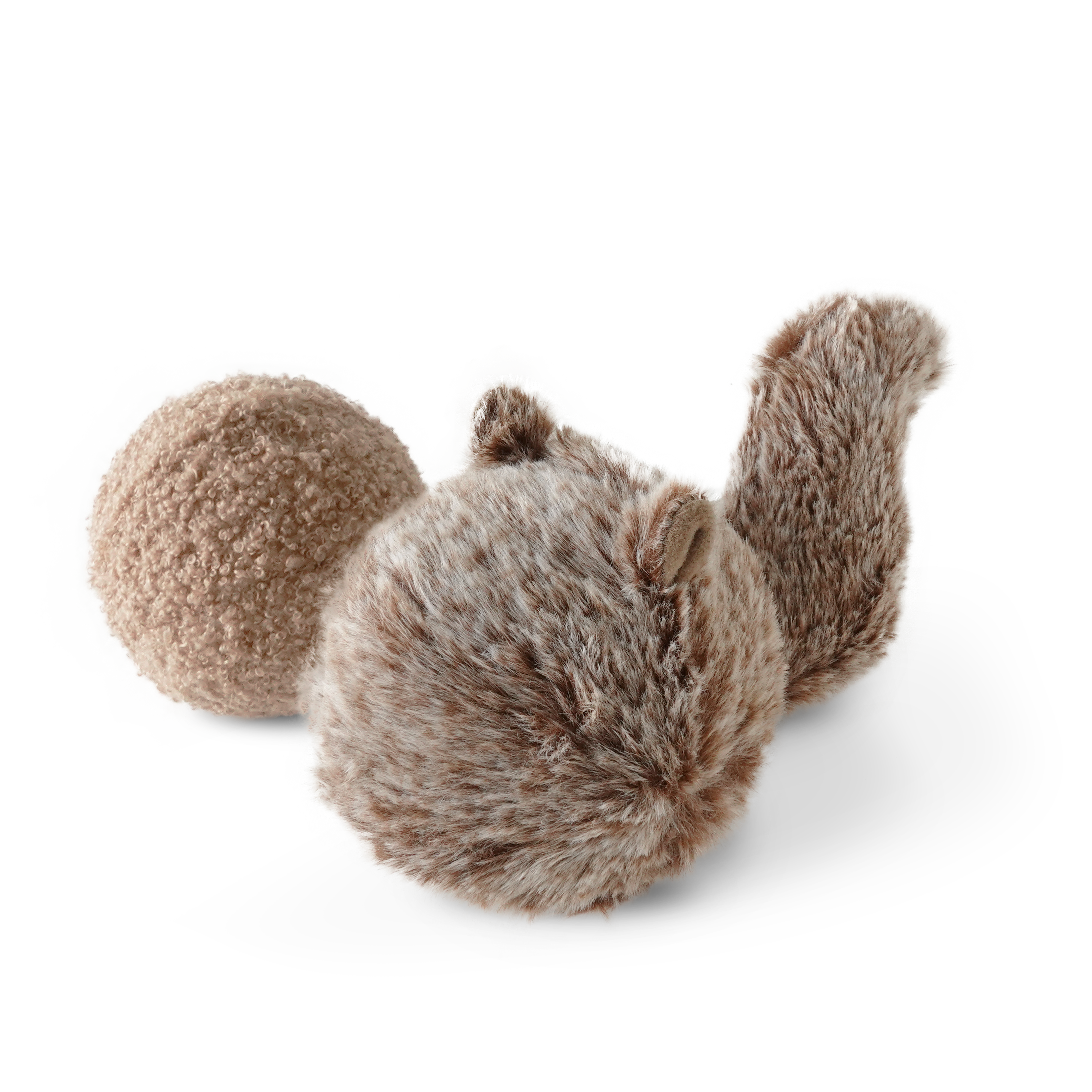 Squirrel POP