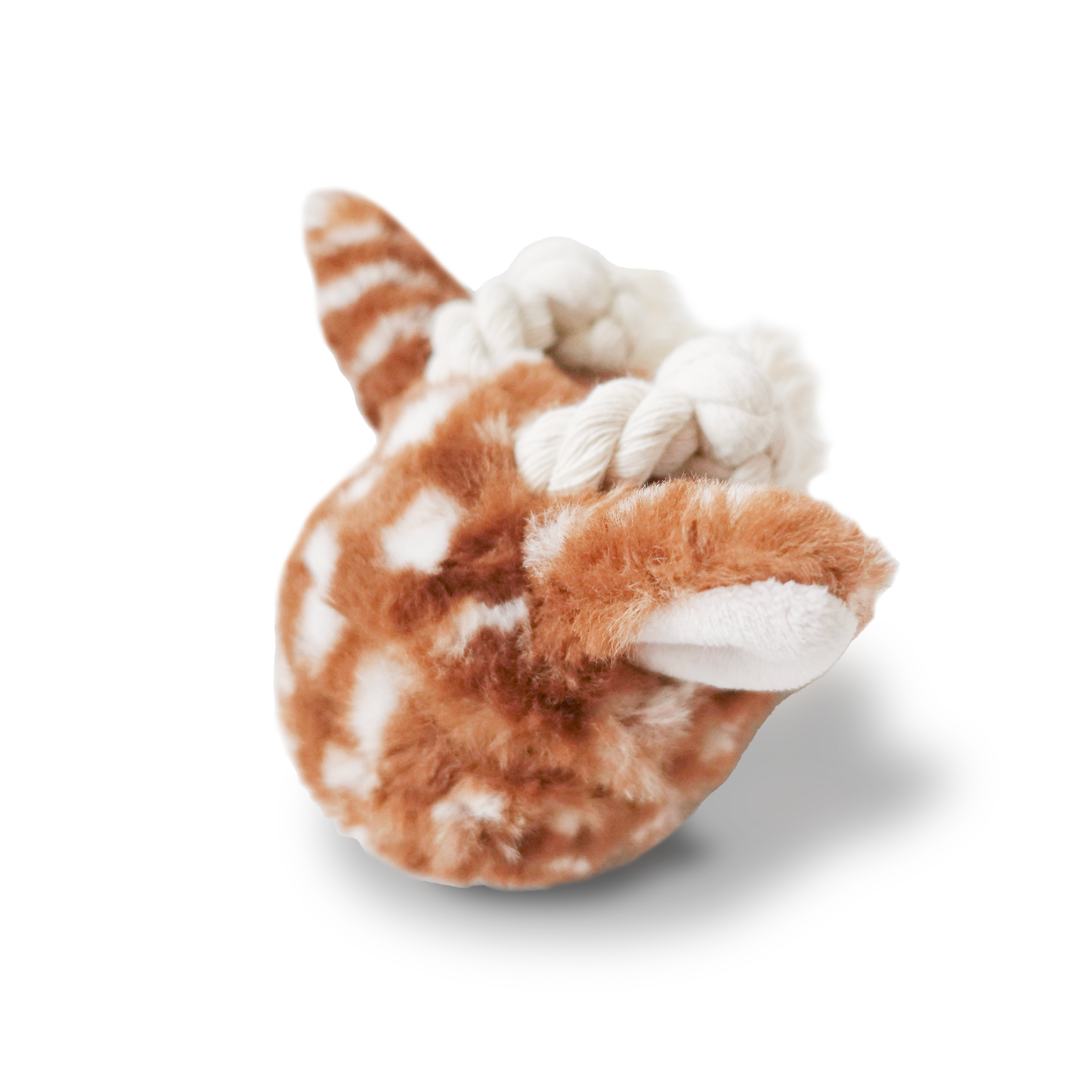 Fawn POP