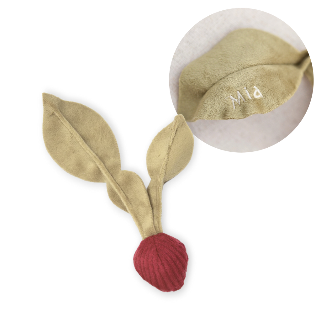 MY RADISH