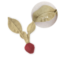 MY RADISH