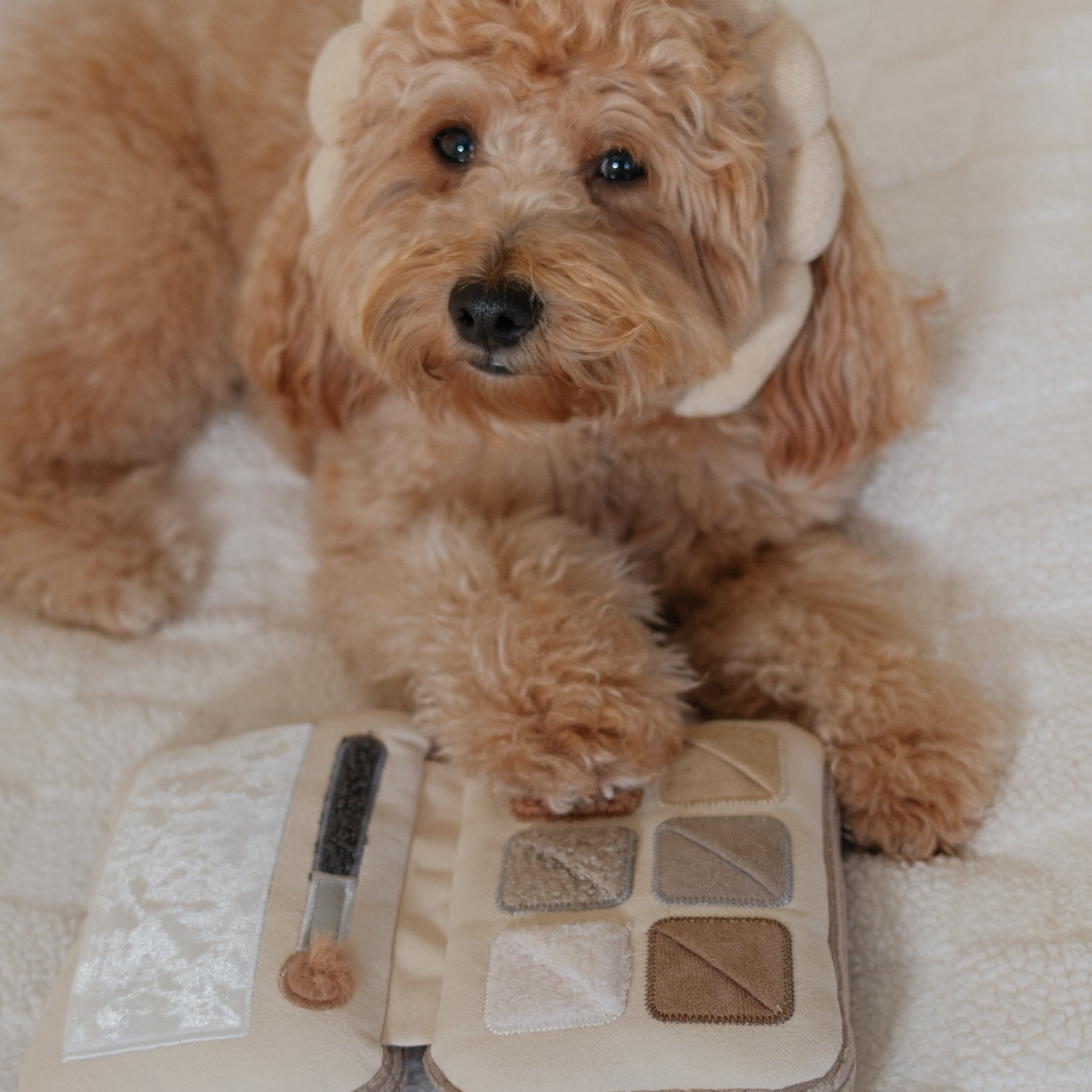 EYESHADOW PALETTE