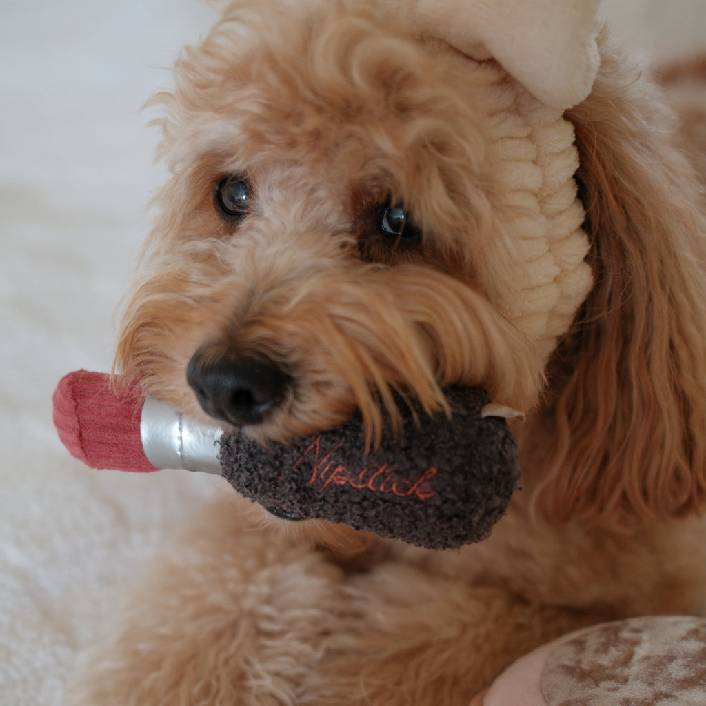 LIPSTICK