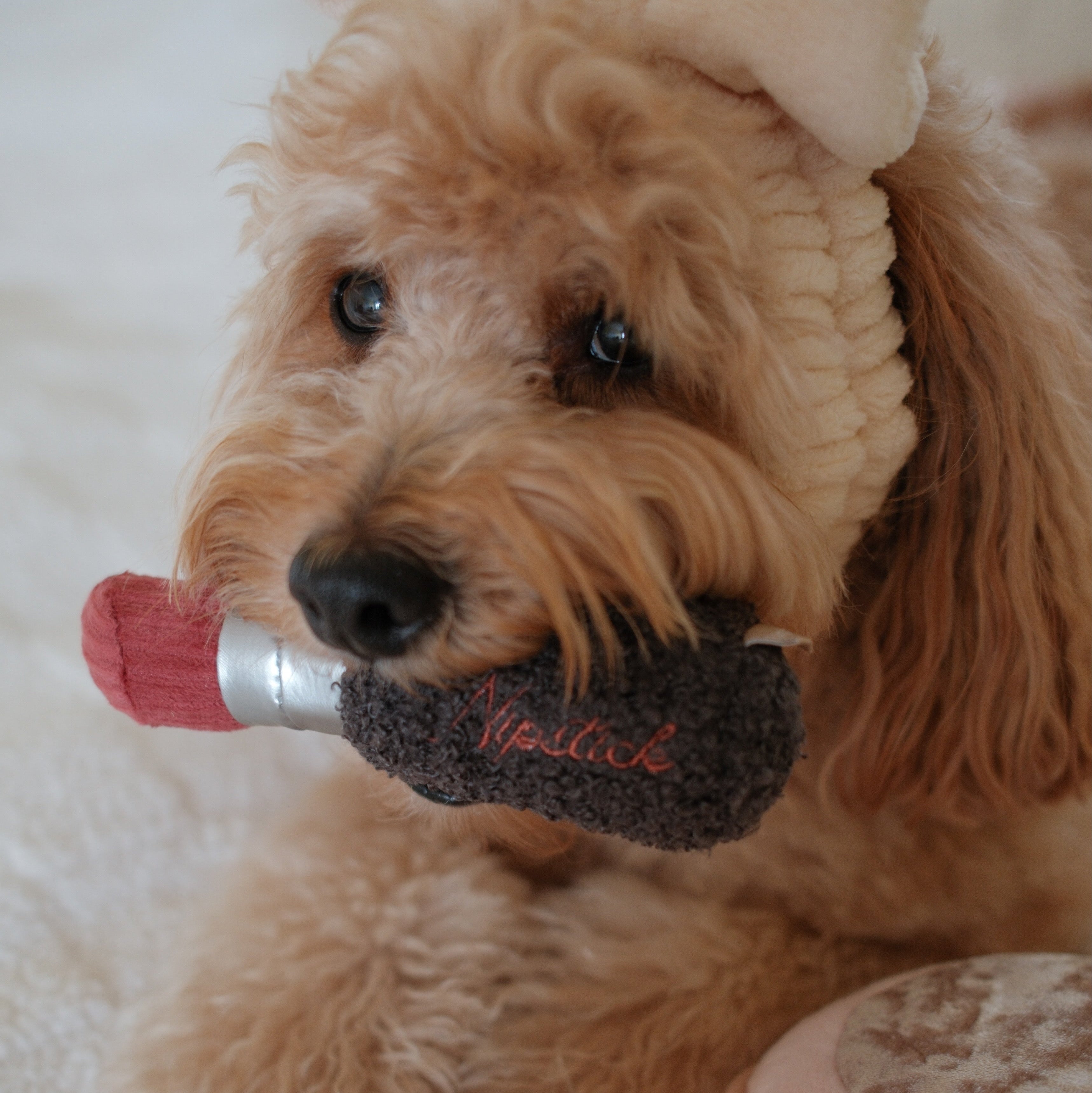LIPSTICK