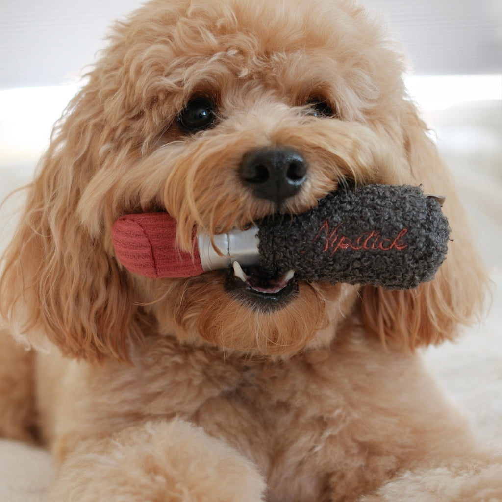 LIPSTICK