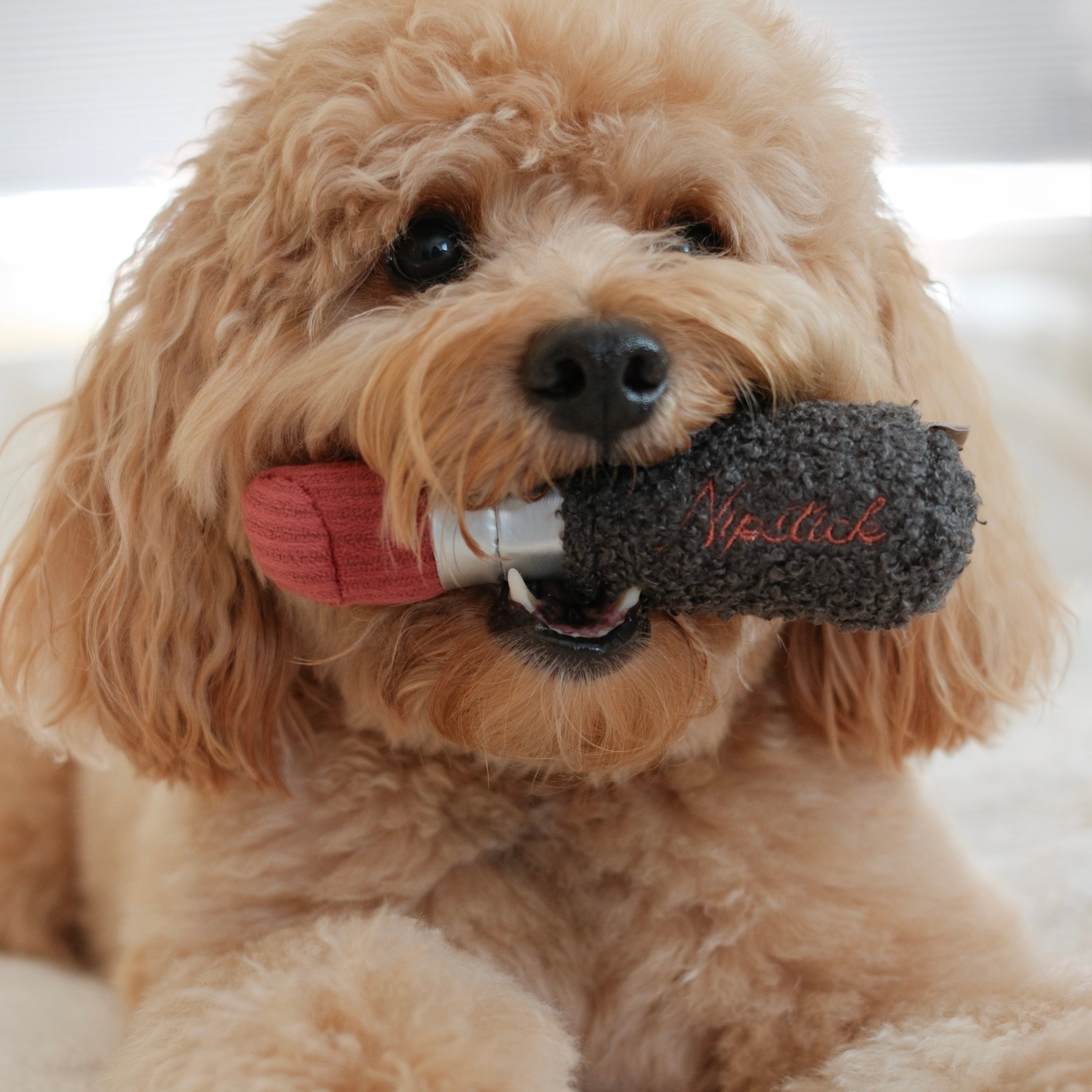 LIPSTICK