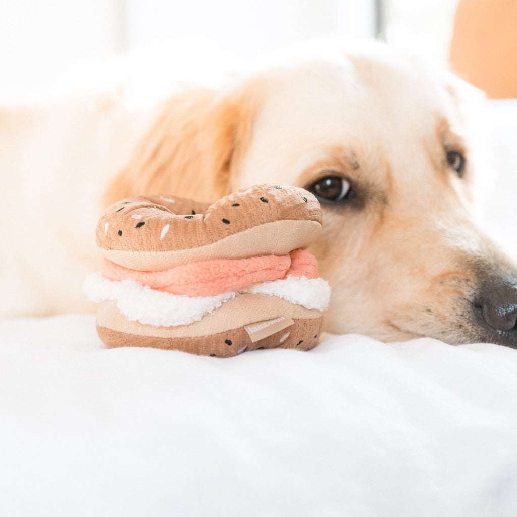 Bagel + Pickle
