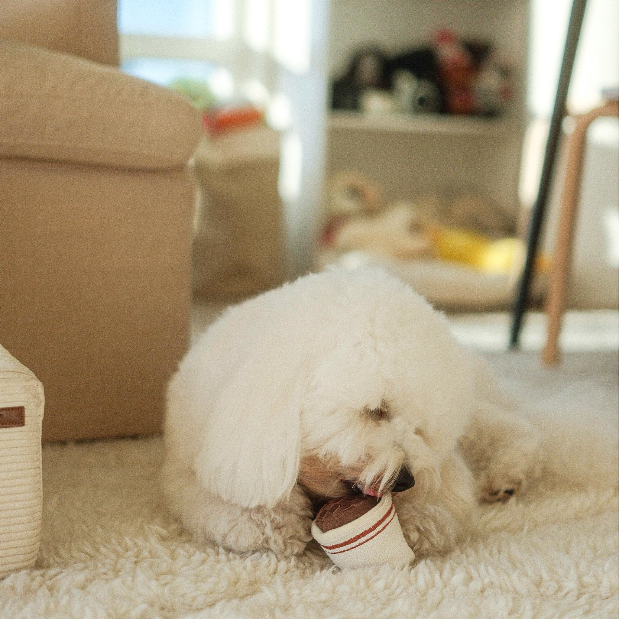 ESPRESSO POP