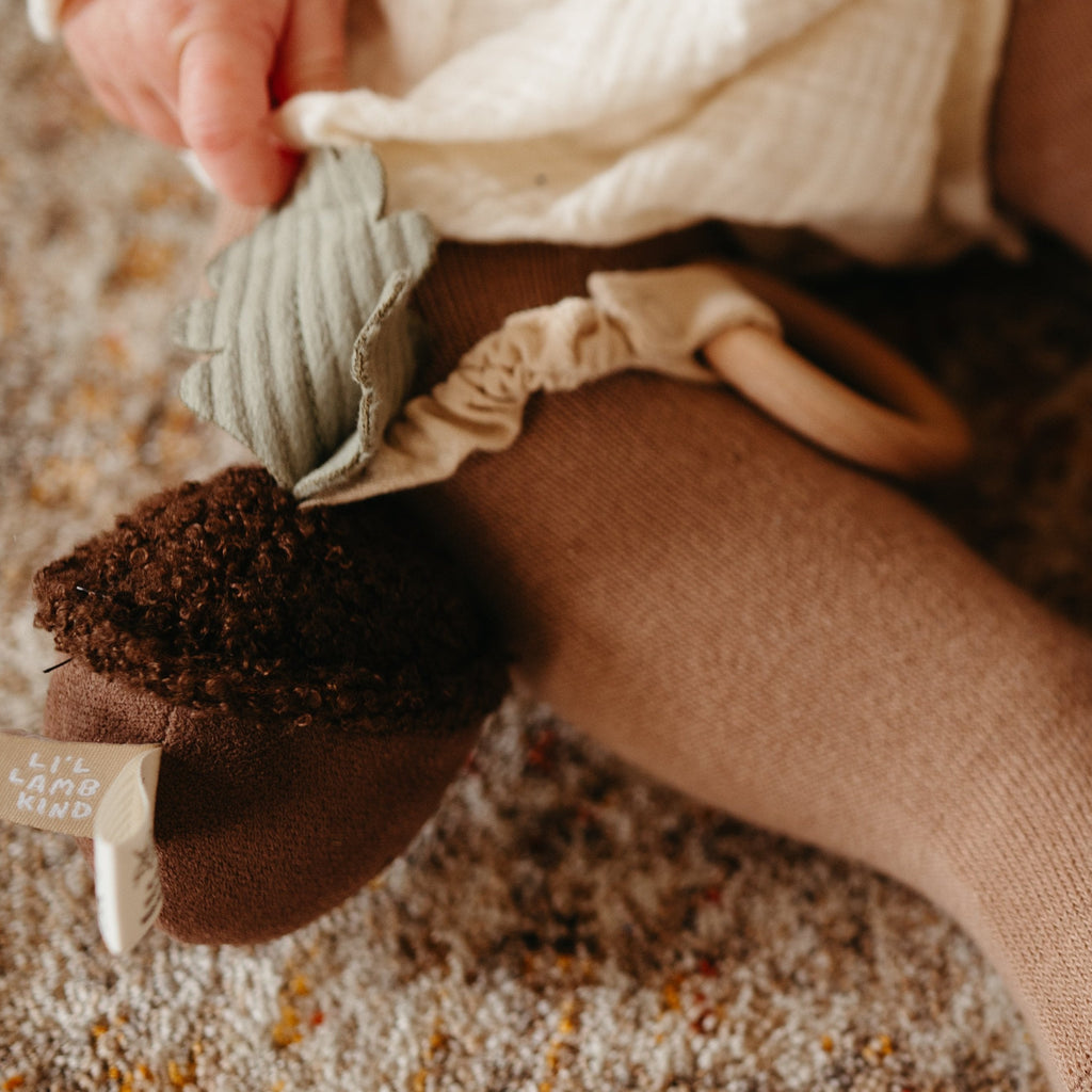 ACORN