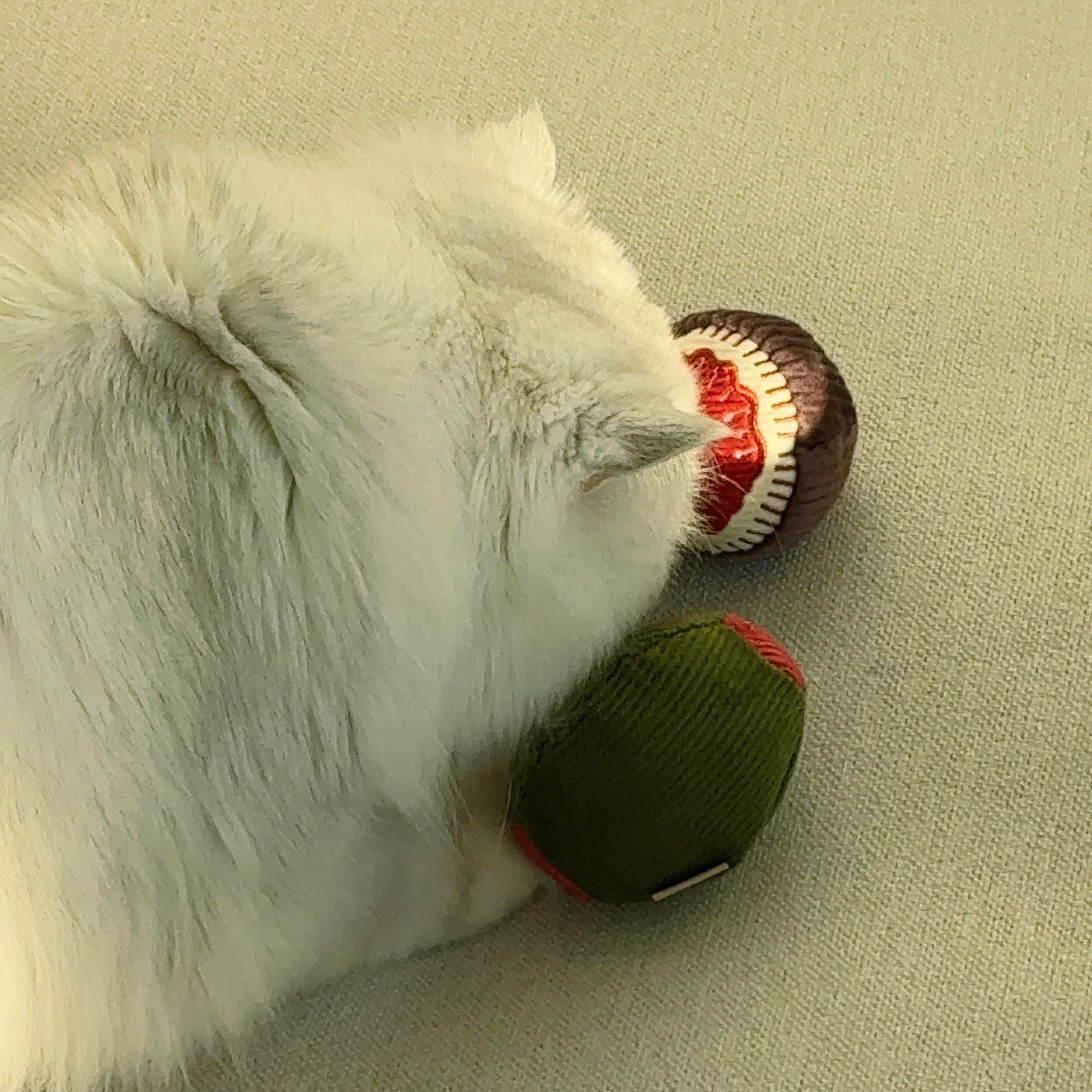 OLIVE + FIG