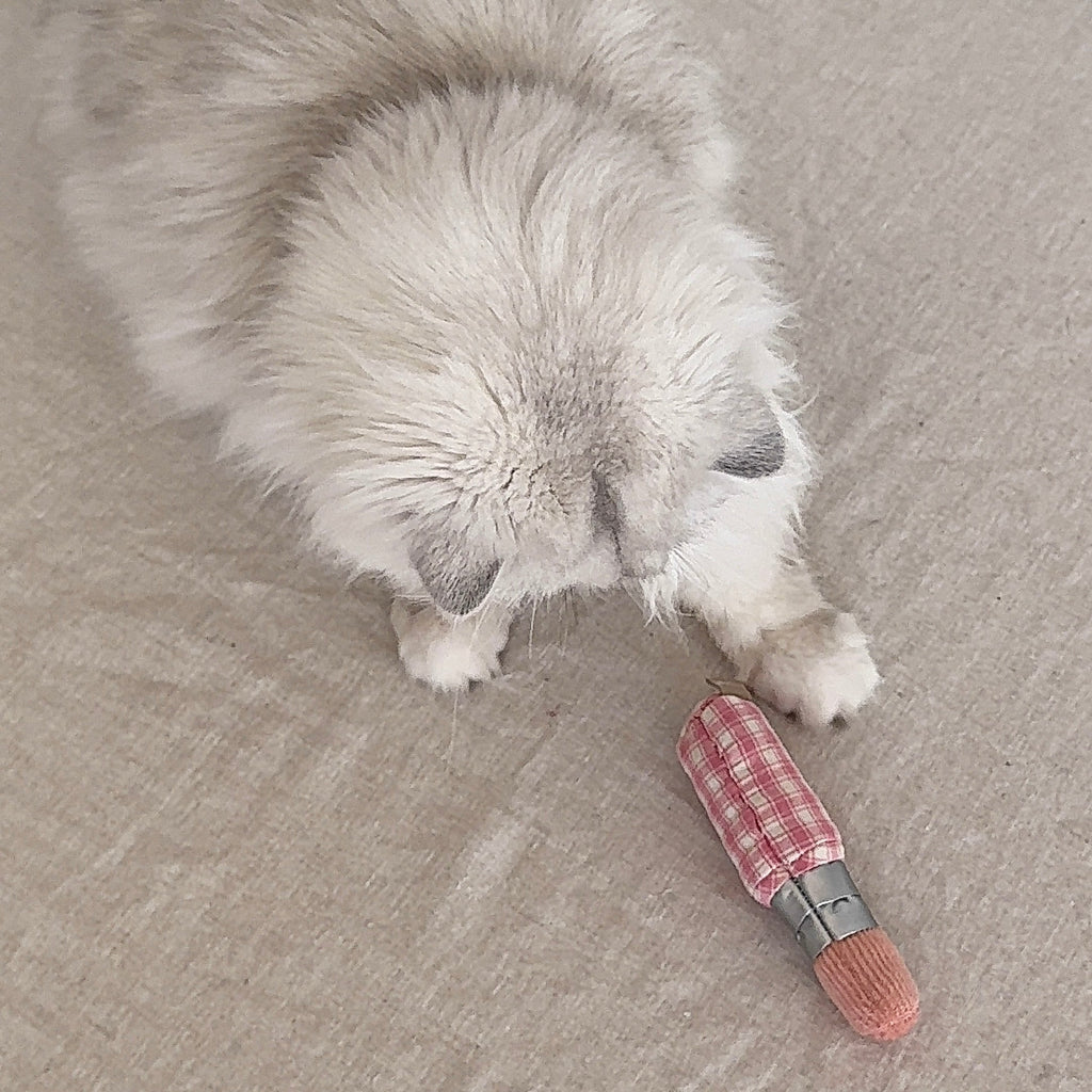 KITTY LIPSTICK