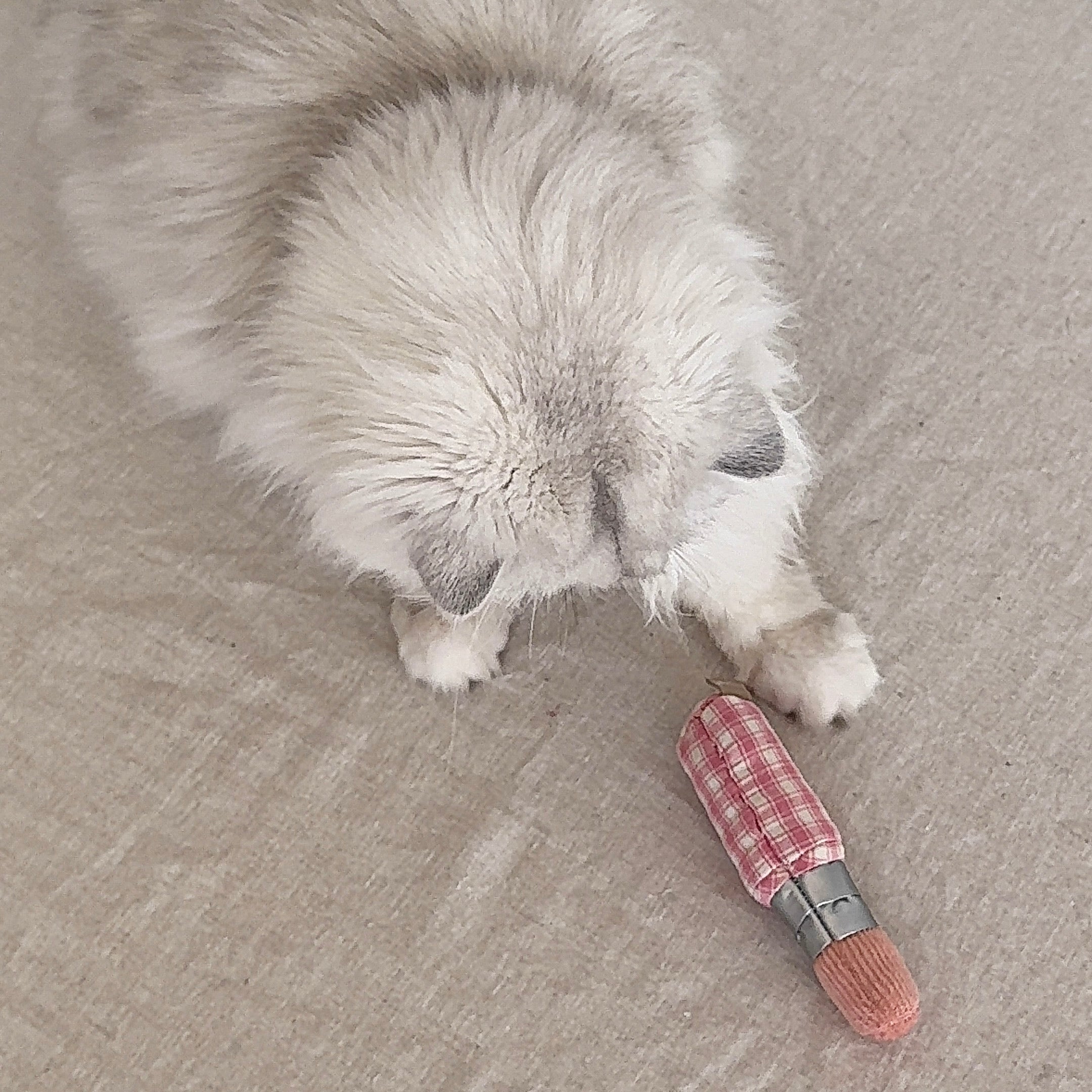 KITTY LIPSTICK