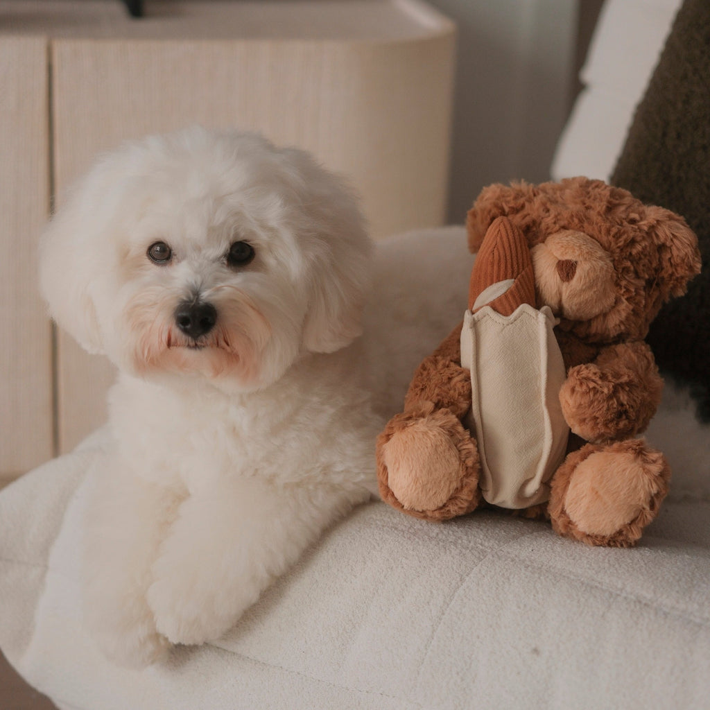 Teddy Baguette