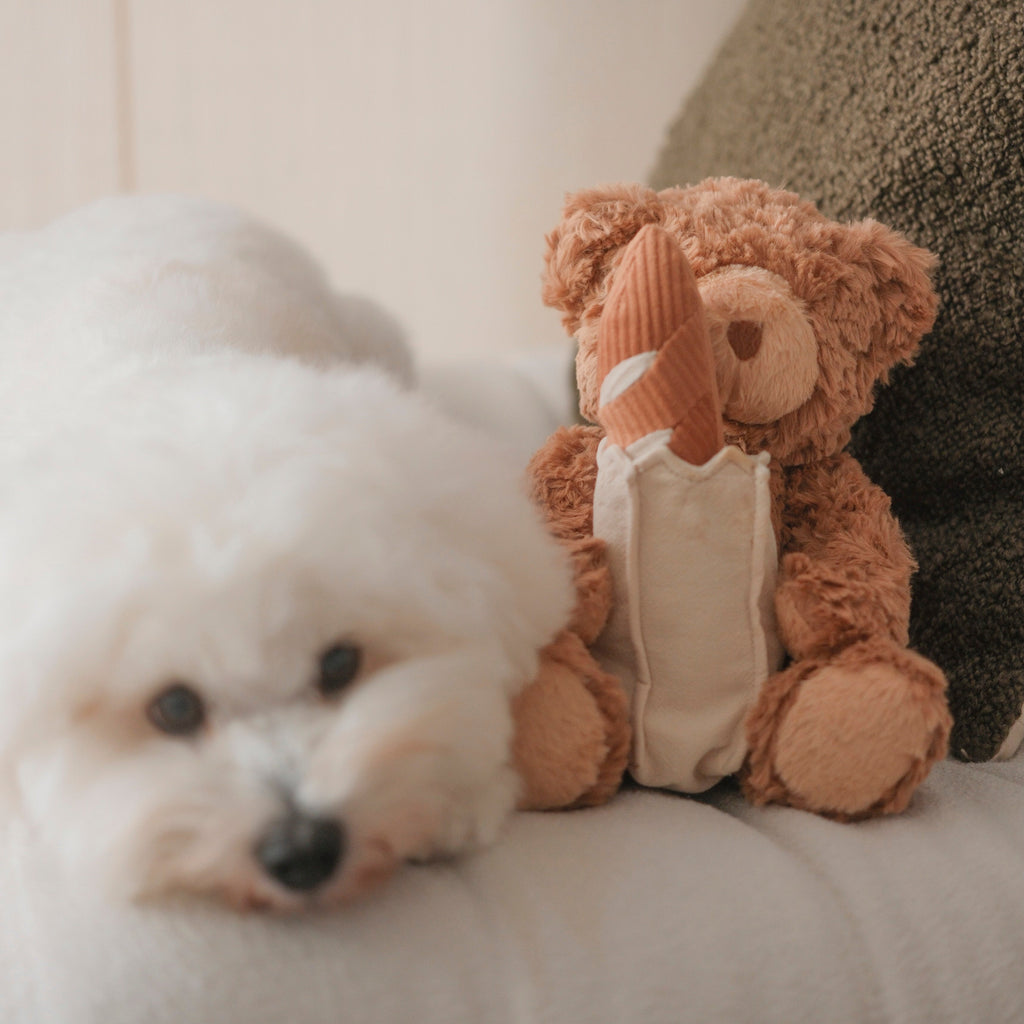 Teddy Baguette